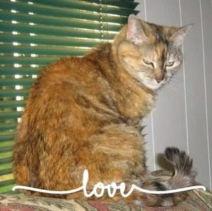 Meet your Posher, Moe